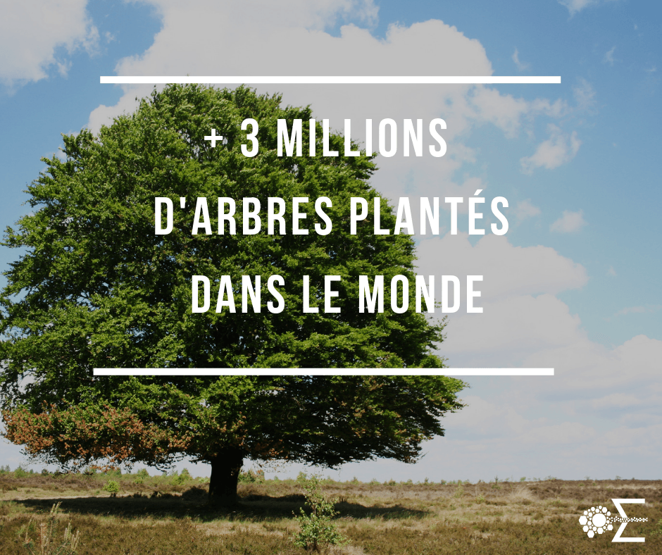en mars plantez des arbres avec le mois de la foret en mars plantez des arbres avec le