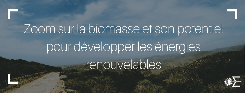 Zoom sur la biomasse