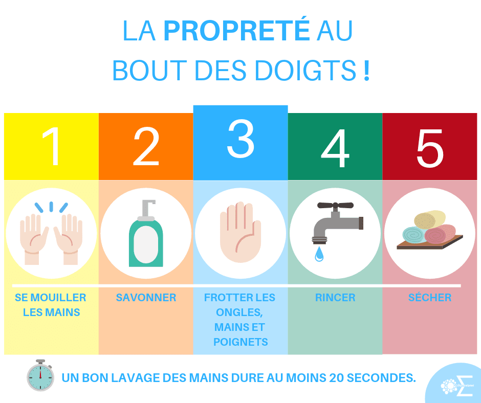 Hygiene Des Mains Dans L Alimentation Pour Votre Sante Et Celle Des Autres