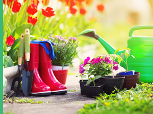 Produits écologiques pour le jardin