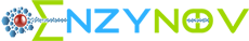 Logo Enzynov
